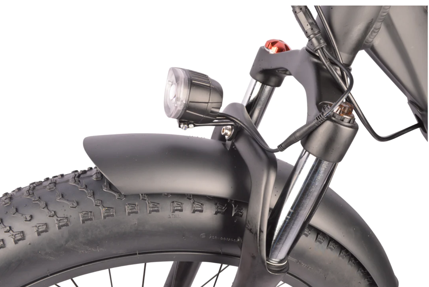 Dj fat bike shop